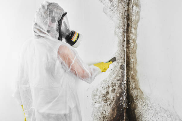 Best Mold Testing  in Marlton, NJ