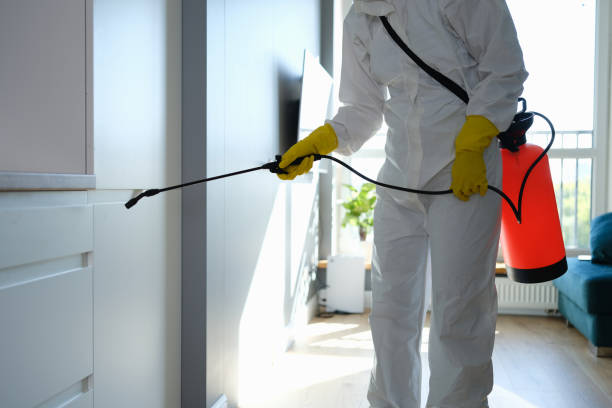 Trusted Marlton, NJ Mold Removal Experts