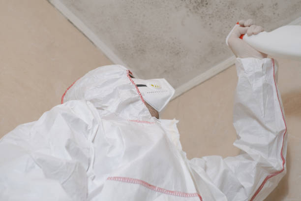 Best Commercial Mold Removal  in Marlton, NJ