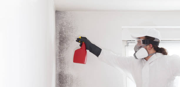 Best Fast Mold Removal  in Marlton, NJ