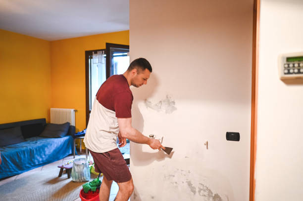 Reliable Marlton, NJ Mold Removal Solutions