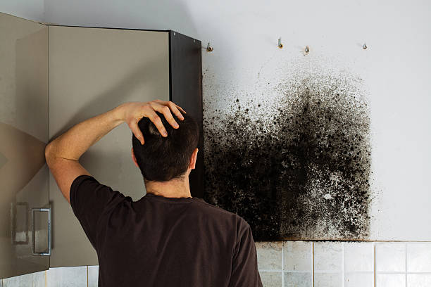 Best Black Mold Removal  in Marlton, NJ