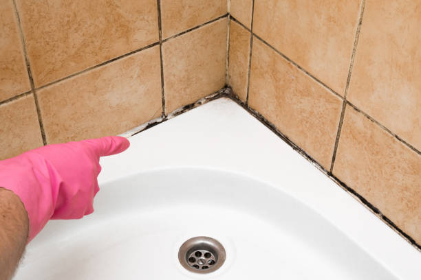 Best Emergency Mold Removal  in Marlton, NJ